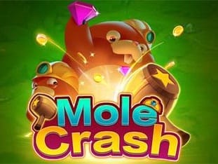 Mole Crash